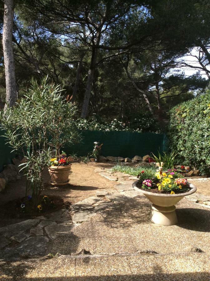 T2 Rez De Jardin 300M Plage De Beaucours Sanary Sur Mer Exterior photo